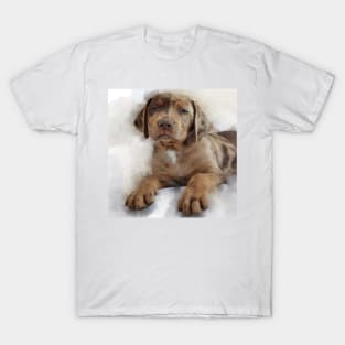 Puppy T-Shirt